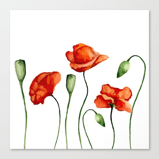 Poppies Canvas Print