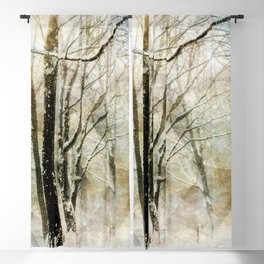 Winter Trees Blackout Curtain