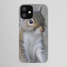 Squirrel iPhone Case