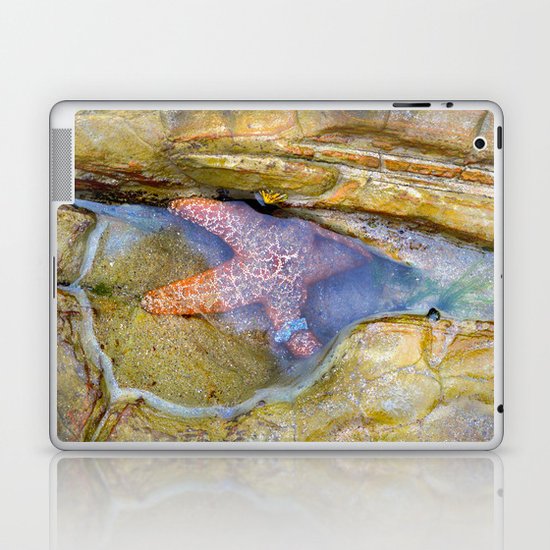 Tidepool Starfish Laptop & iPad Skin