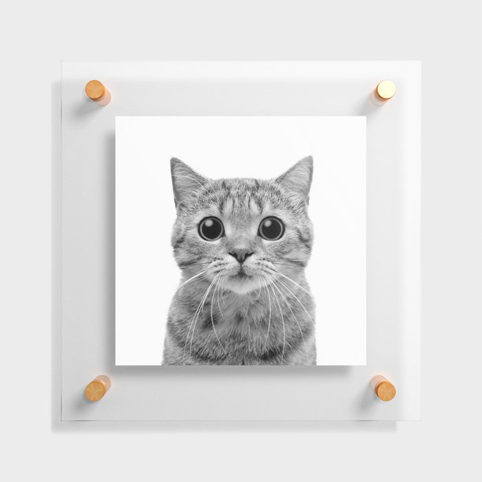 Cute Kitten Portrait - Floating Acrylic Print