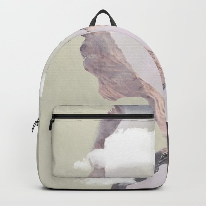 Valley of Dreams Backpack