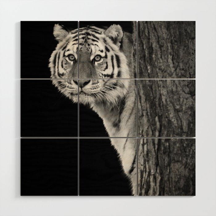 Tiger by the tree | black and white | portrait | Photography Wood Wall Art