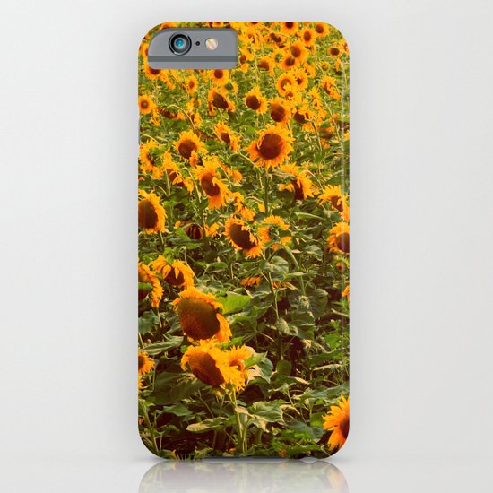 Fields of gold iPhone & iPod Case
