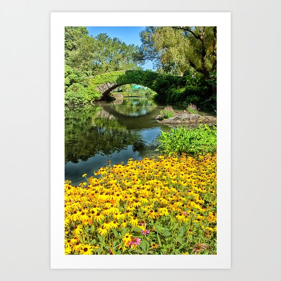 The Pond Art Print