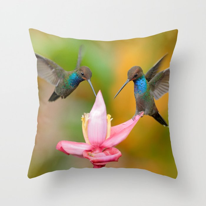 Blue Hummingbirds with Pink Flower Bloom - Bird / Animal / Wildlife / Floral Nature Photograph Throw Pillow and More