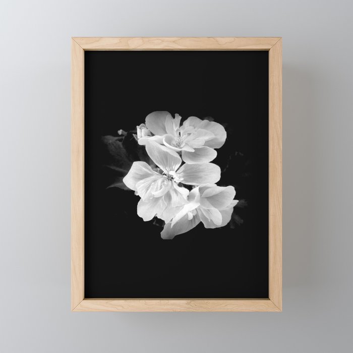 Geranium still-life Framed mini art print