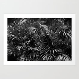 Palm Leaves | Black & White Pattern | Tropical Plants | Rainforest Photography | Jungle Art Print