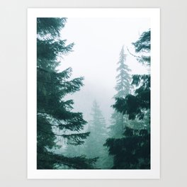 Mount Rainier Fog Art Print