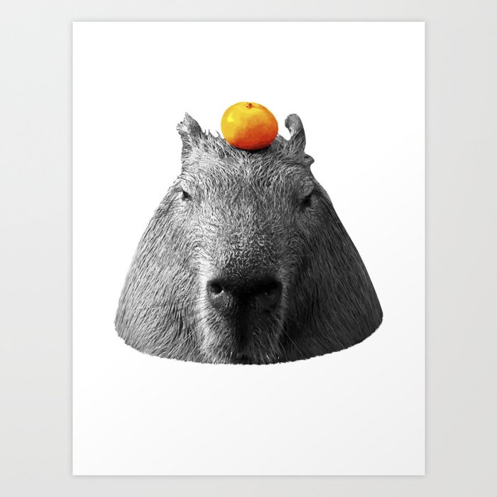 Capybara Art Print