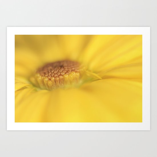 A ray of sunshine Art Print