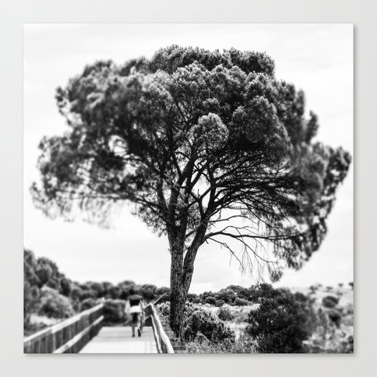 The tree life Canvas Print