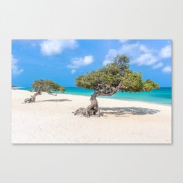 Caribbean Island, Eagle Beach, Aruba Canvas Print