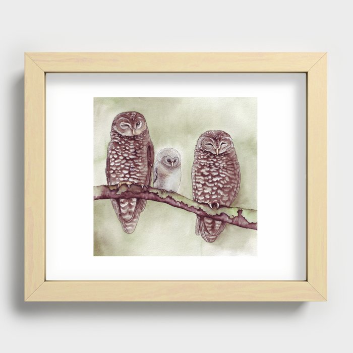 The Endangered Spotted Owl Recessed Framed Print