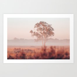 Foggy sunrise on the heath | Nature Art Print