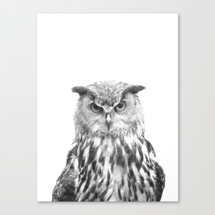 society6