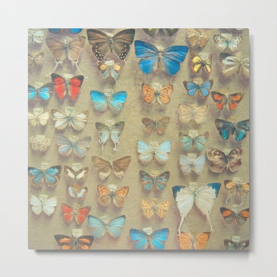 The Butterfly Collection II Metal Print