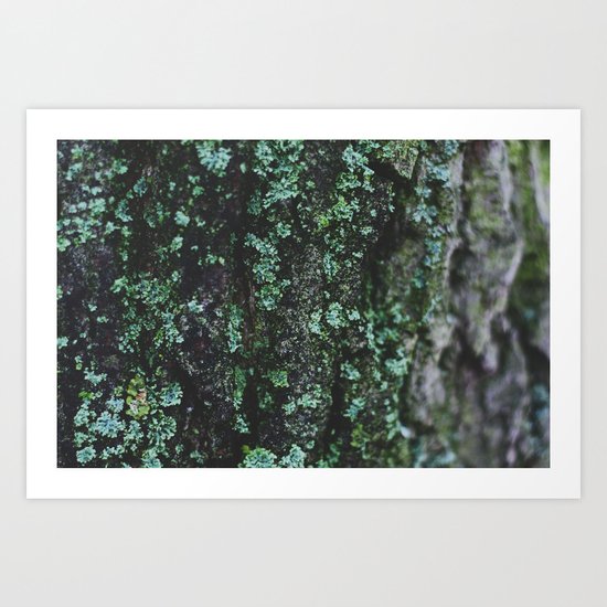 Emerald Bark Art Print