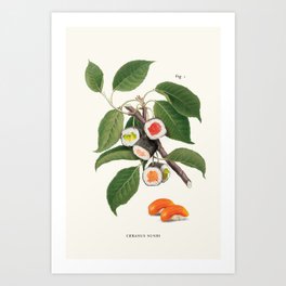 Sushi Plant Art Print | Digital, Instaart, Modernart, Retro, Fastfood, Green, Drawing, Popart, Asian, Contemporaryart 