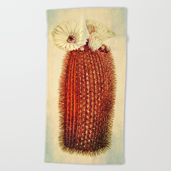 cactus with light Beach Towel