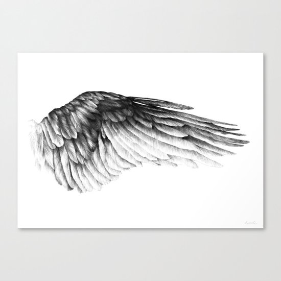 IKAROS Canvas Print