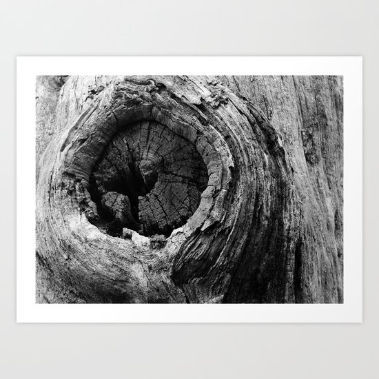 Bark Art Print