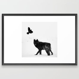 Lone wolf Framed Art Print