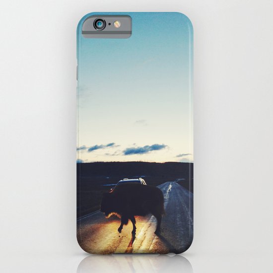 Bison in the Headlights iPhone & iPod Case