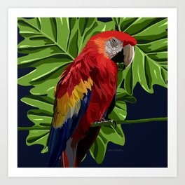 Parrot  Art Print