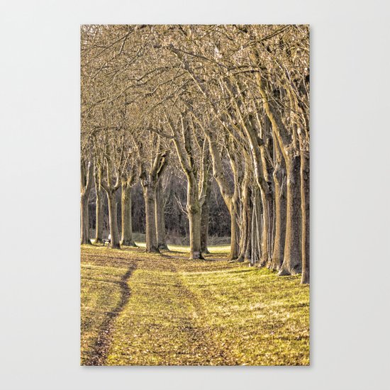 Avenue Canvas Print