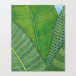 Striped Peek-a-Boo Leaves in Watercolor Canvas Print