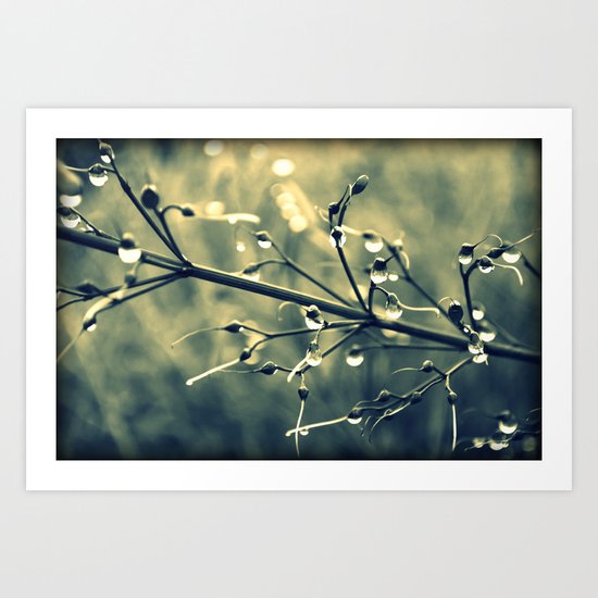 morning drops Art Print