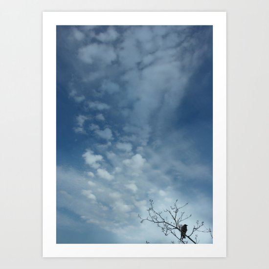 Bird Alone Art Print
