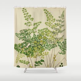 Maidenhair Ferns Shower Curtain | Simple, Fern, Decor, Nature, Botanical, Painting, Garden, Outdoors, Art, Illustration 