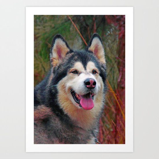 pink nose Art Print