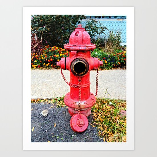 Down But Not Out Art Print