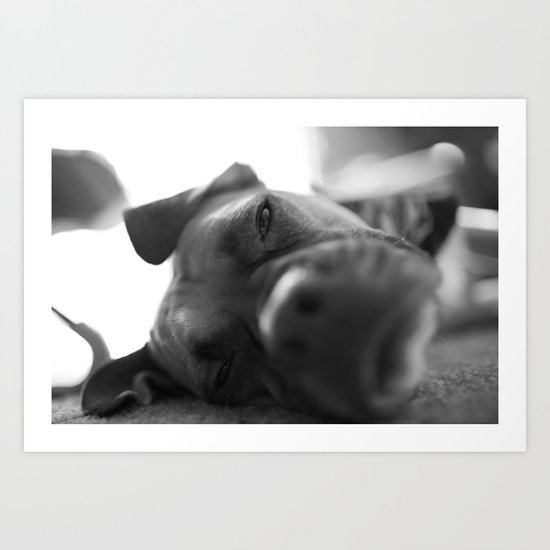 Lazy Dog Art Print