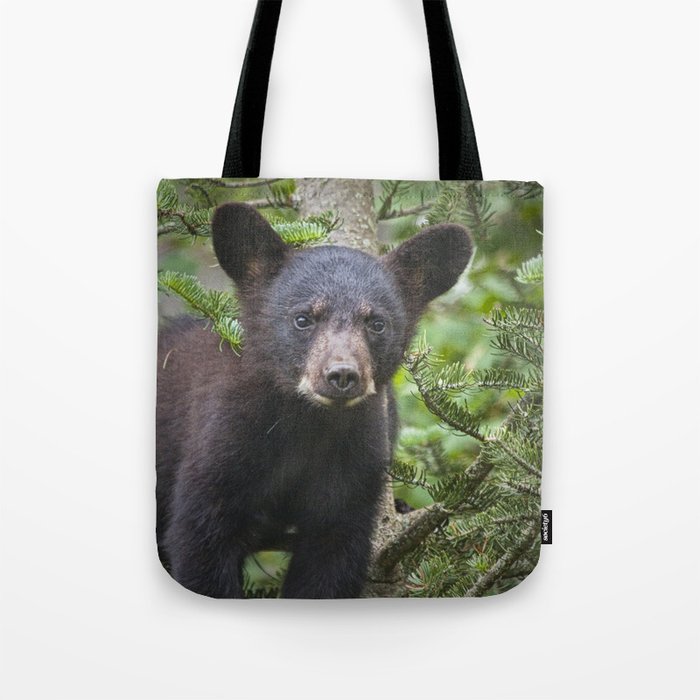 Black Bear Cub in Northern Minnesota Photograph Tote Bag