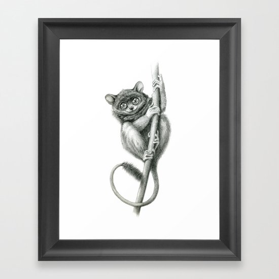 Philippine Tarsier G2012-047 Framed Art Print