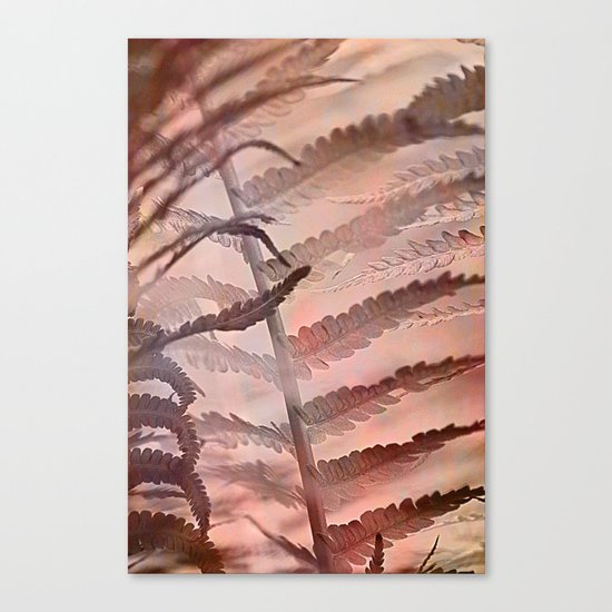 #169 Canvas Print