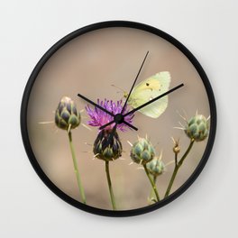 Clouded Yellow Butterfly Wall Clock | Flower, Bloom, Floral, Thistle, Butterfly, Nectar, Photo, Wildflower, Blooming, Yellow 