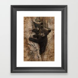 Black Bear Cubs - Curious Cubs Framed Art Print