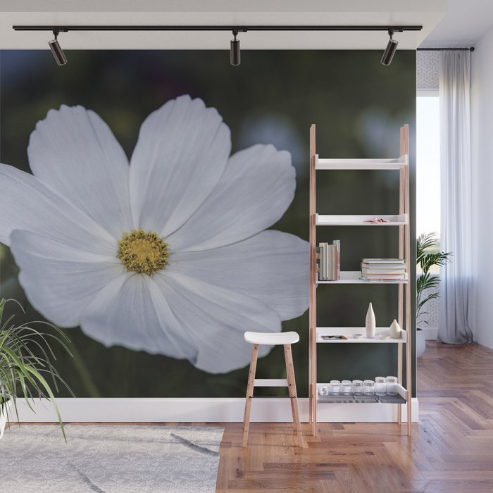 White Cosmos Wall Mural