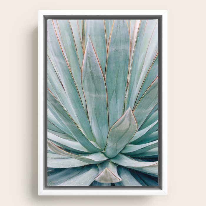 Framed Canvas