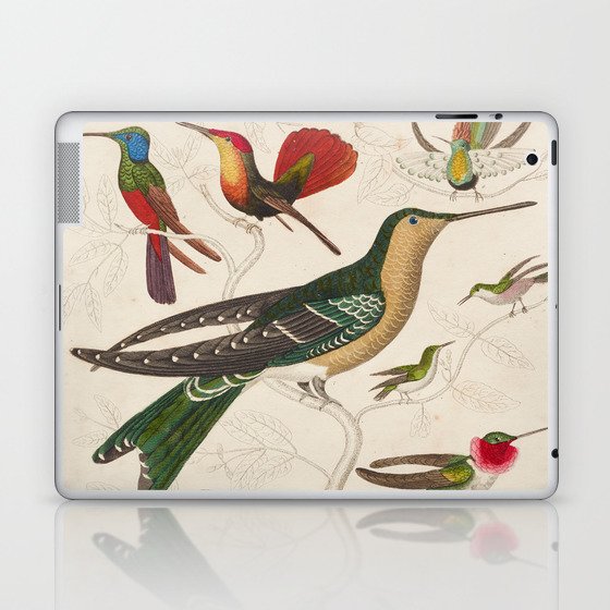 Hummingbird Vintage Bird Illustration Laptop & iPad Skin