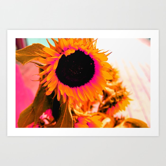 Psychedelic Sunflower  Art Print
