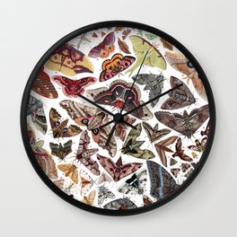 Moths of North America Wall Clock | Insect, Biology, Entomologist, Curated, Science, Print, Informational, Watercolor, Entomology, Jadafitch 