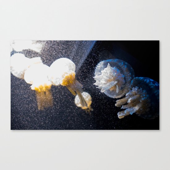 MEDUSAS Canvas Print