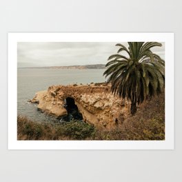 Point La Jolla Landscape in San Diego California Art Print