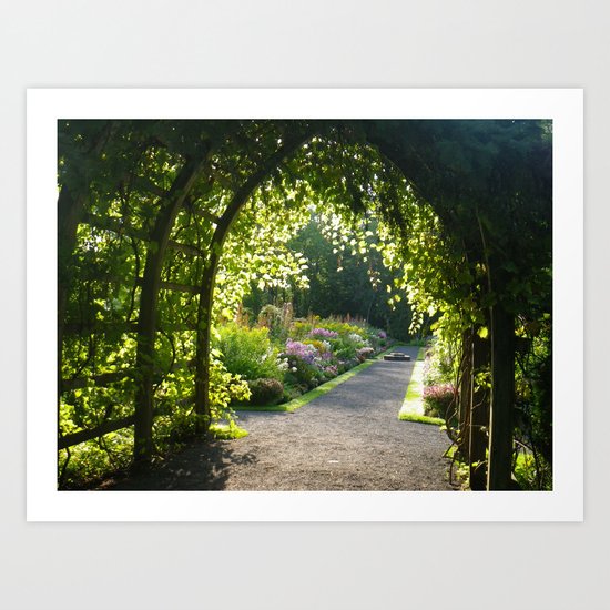 Quebec Morning Art Print
